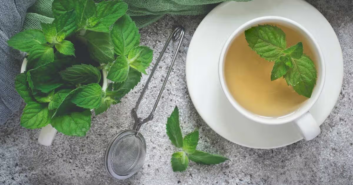 Spearmint Tea: A Refreshing Brew with Surprising Benefits