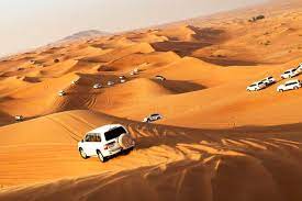 Exploring the Enchanting Desert Landscape of Qatar with Murex Qatar Tours