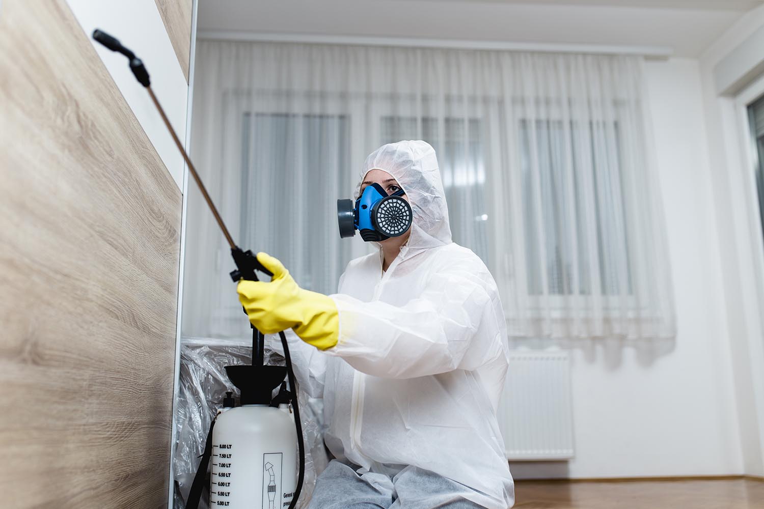 Guide Pest Exterminator Near Me and Fumigation control services