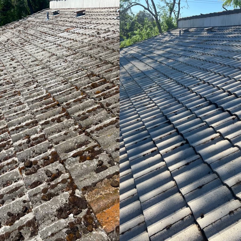 Roof cleaning portland How to Restore Your Roof's Natural Beauty!
