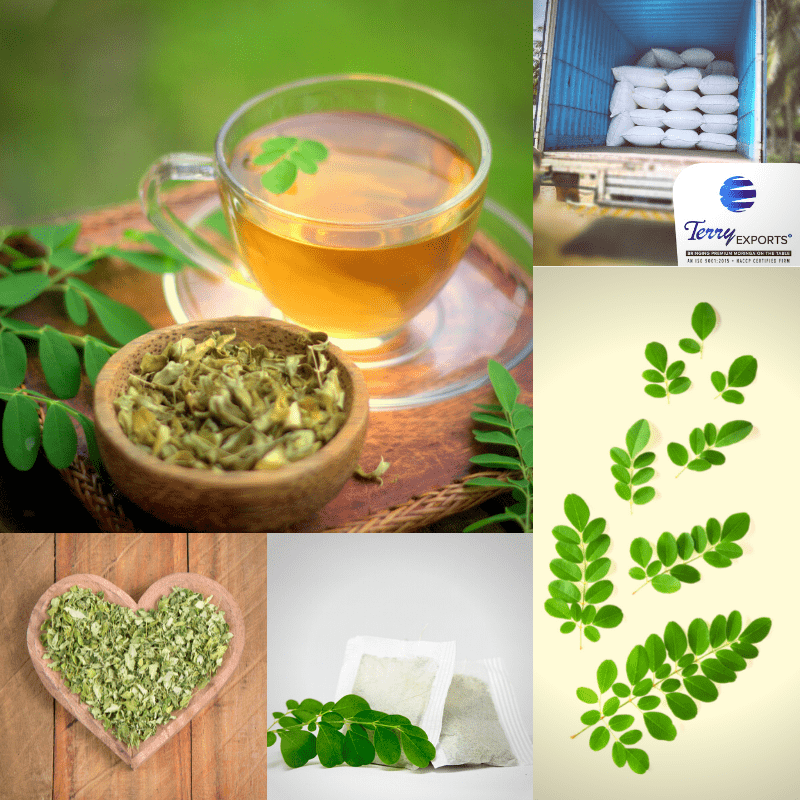 Moringa Tea