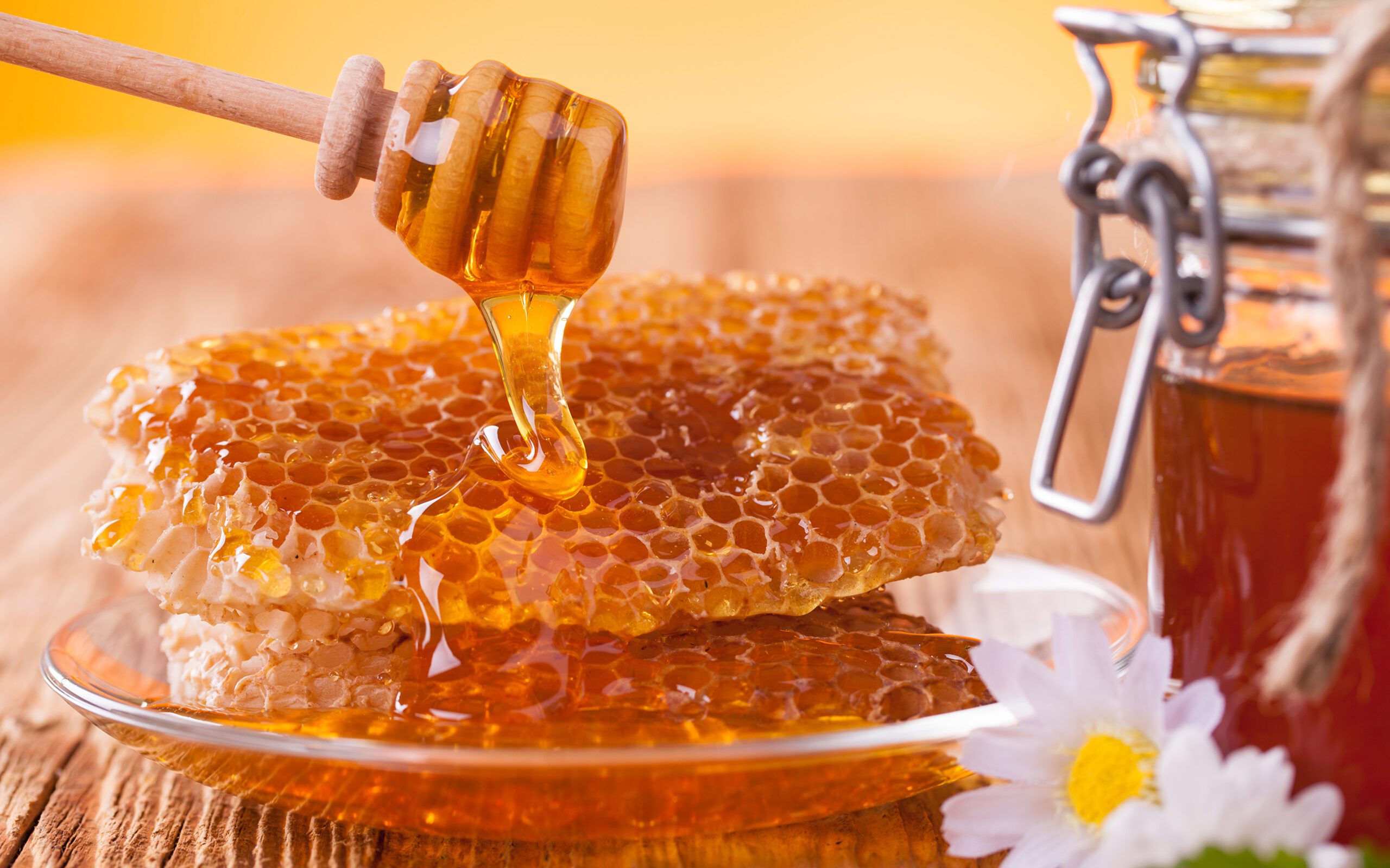 Sidr Honey Collection in Pakistan: Regions for Pure Honey Sources