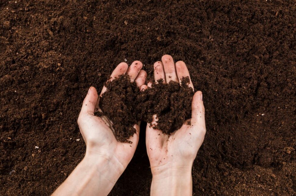 10 Proven Mulching Techniques to Improve Soil Health and Retain Moisture