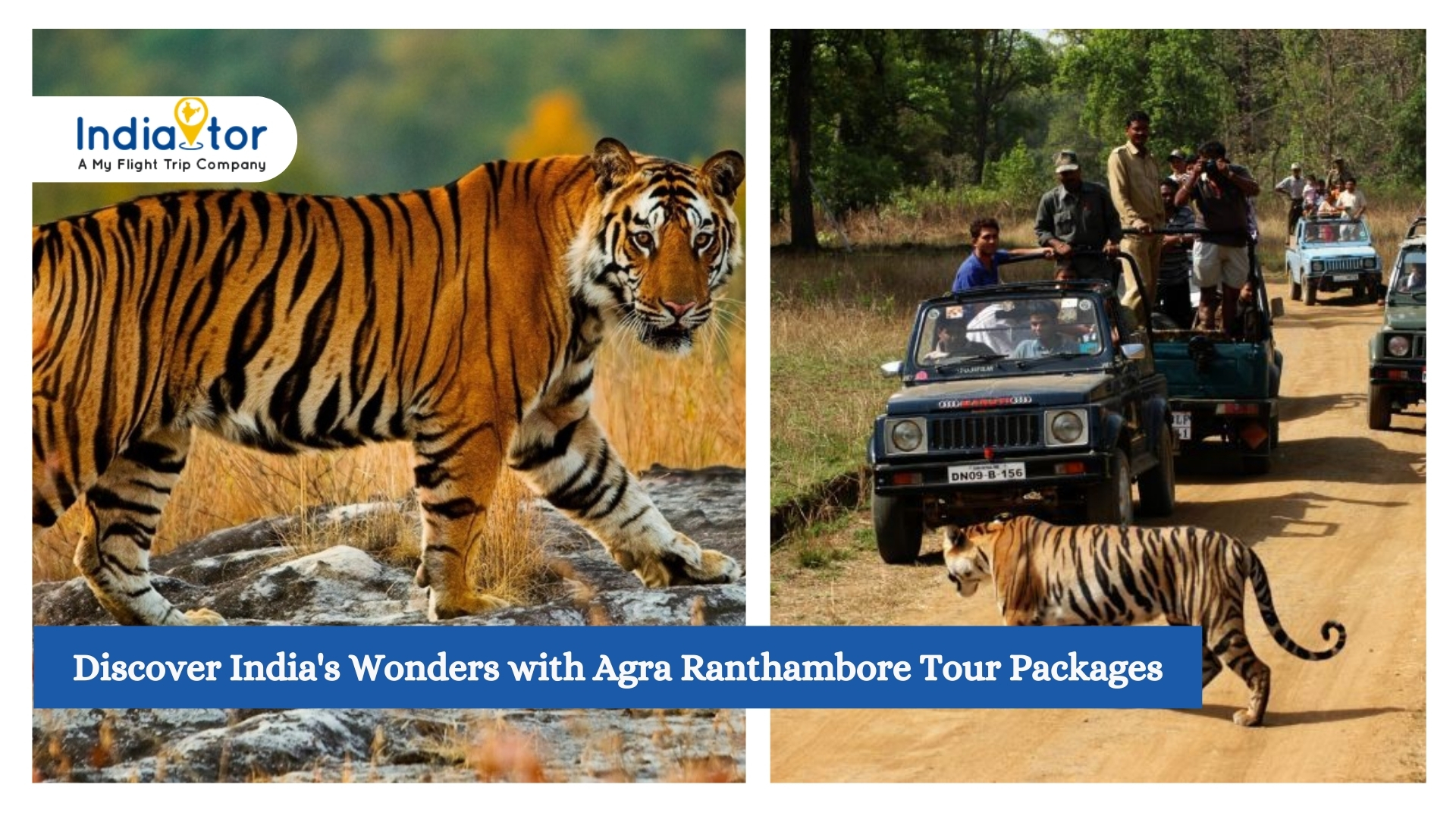 Agra To Ranthambore Tour Package