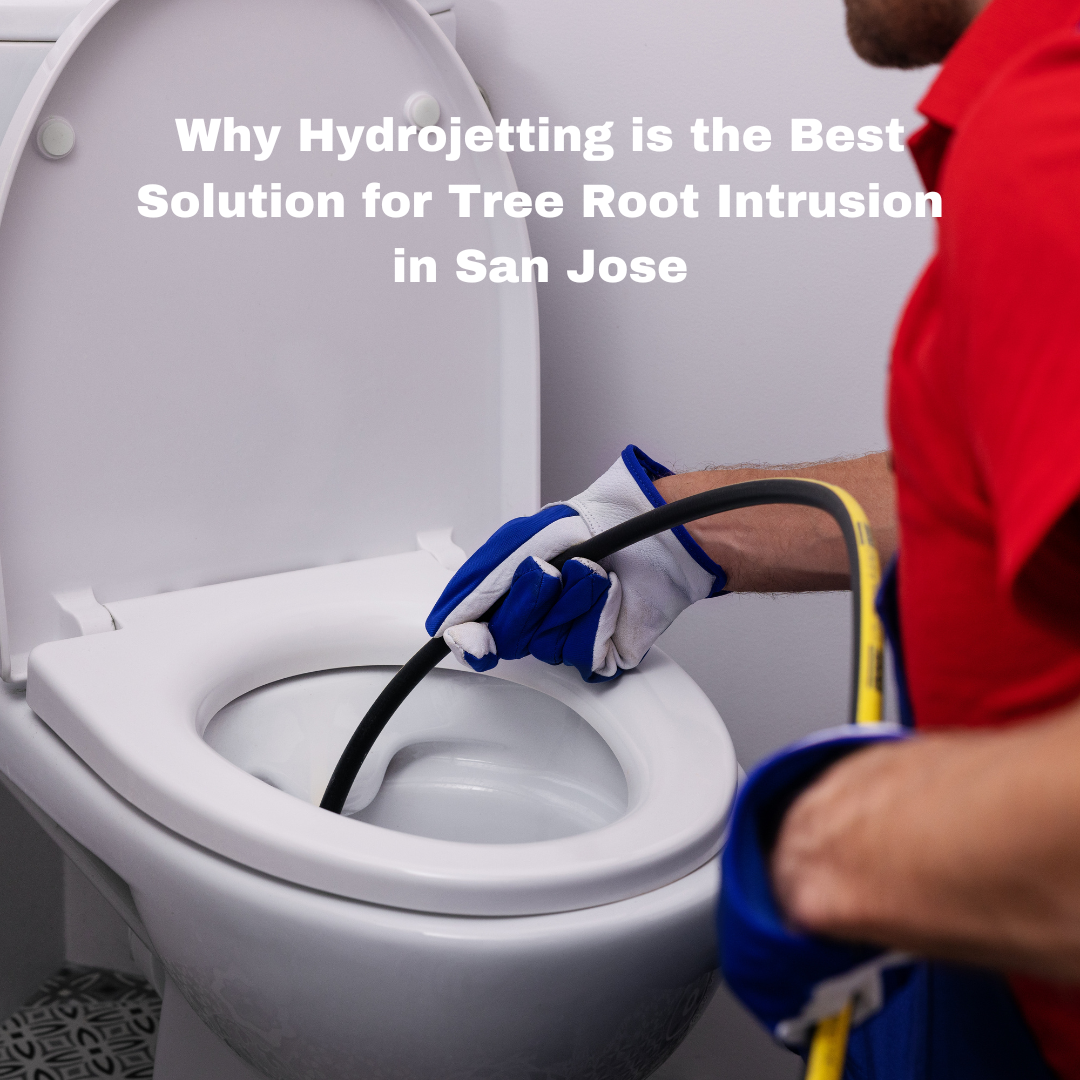 Why Hydro Jetting is the Best Solution for Tree Root Intrusion in San Jose