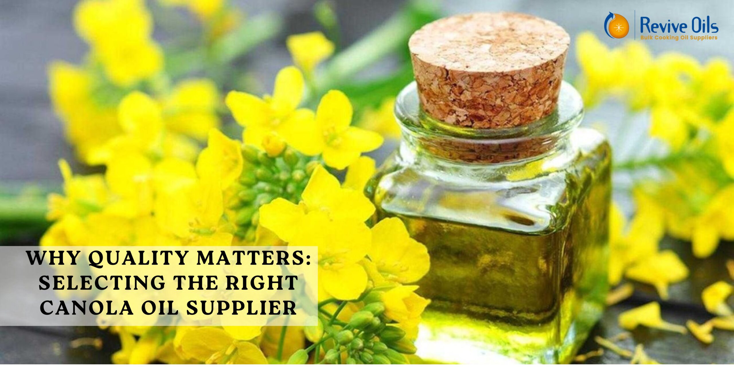 canola oil suppliers