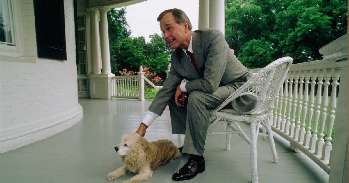 George Bush Sr.'s epic memo to all White House staff about his fat dog is as funny as it gets