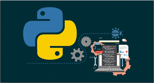 Why You Should Hire Python Developers for Your Next Project