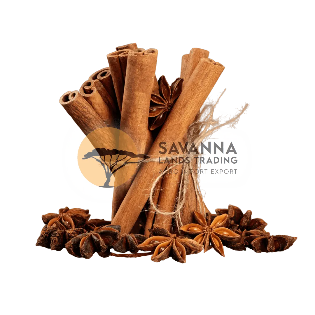 Cinnamon Indonesia