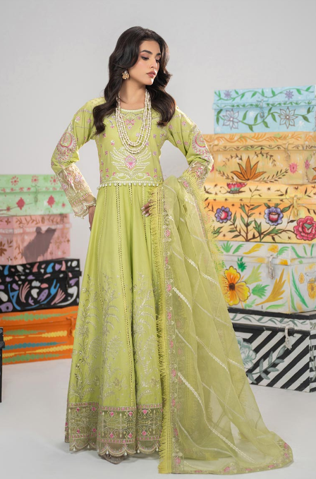 Pakistani Dresses