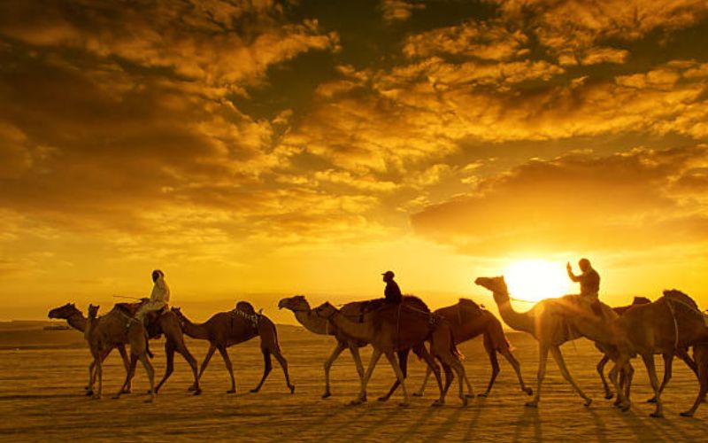 Evening Safari Experience in Dubai