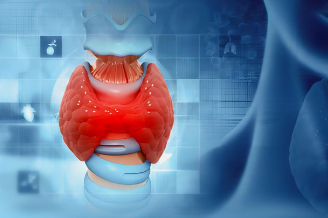 Endocrine System Tissue Microarrays