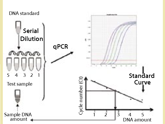 Mammalian DNA Residue Assay Kit