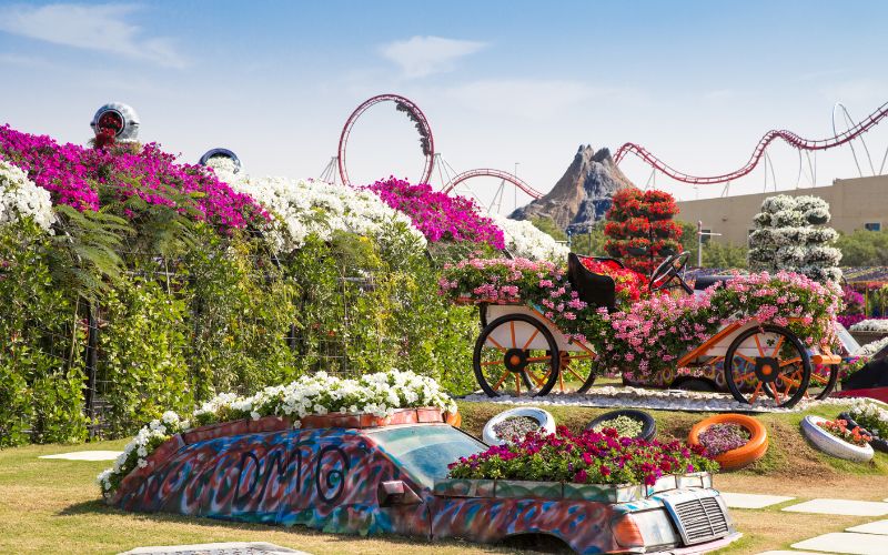 ṀTop 10 Instagramable Spots in Dubai Miracle Garden   