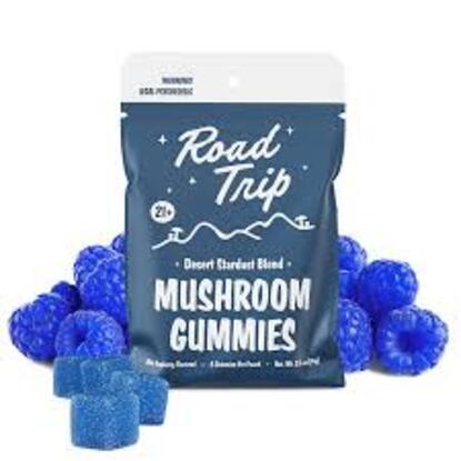 Adventure Bites: Road Trip Mushroom Gummies