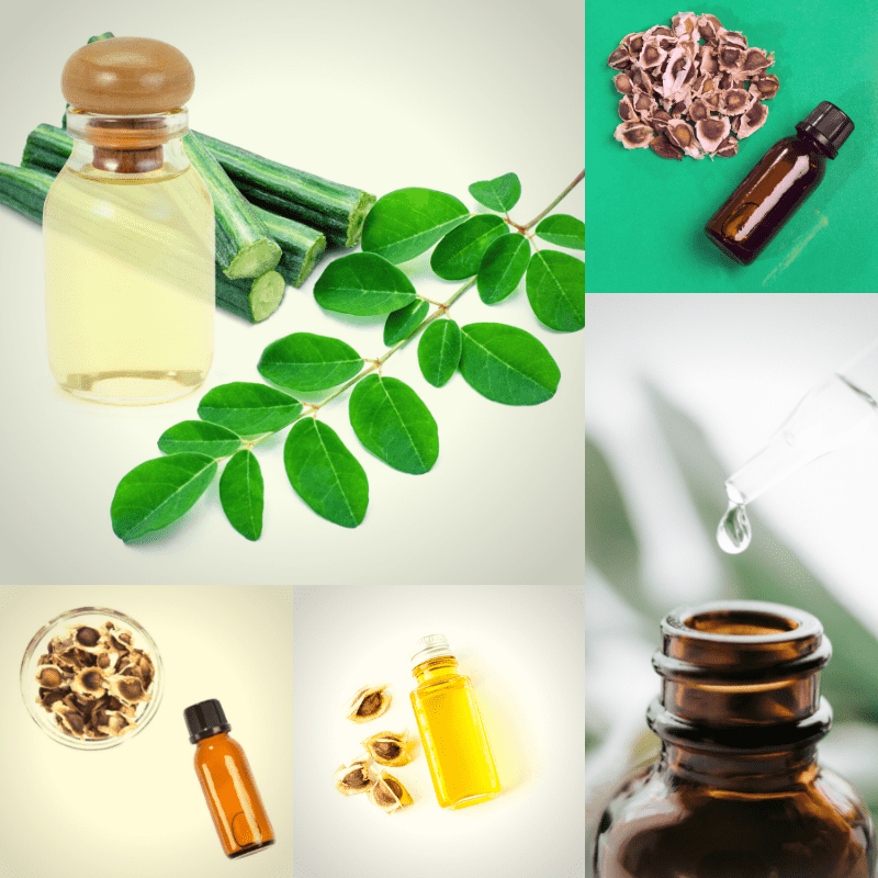 Organic Moringa Oil Wholesale:1 A Lucrative Opportunity for Health and Wellness Businesses