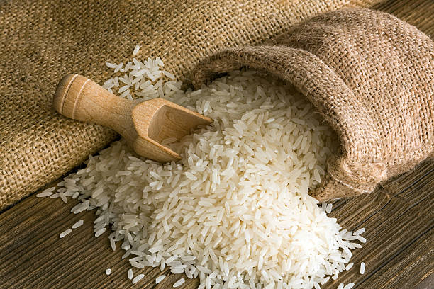 How Leading Rice Suppliers are Transforming Food Production